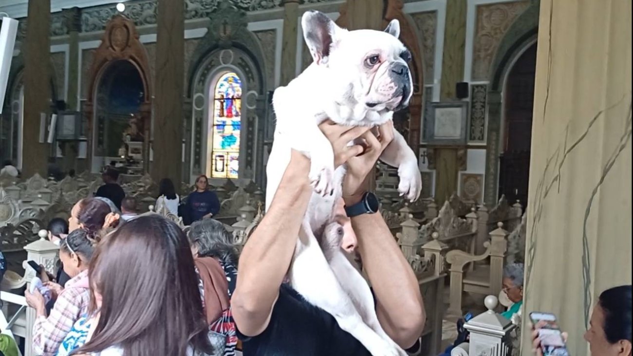 4961020735845501801_121