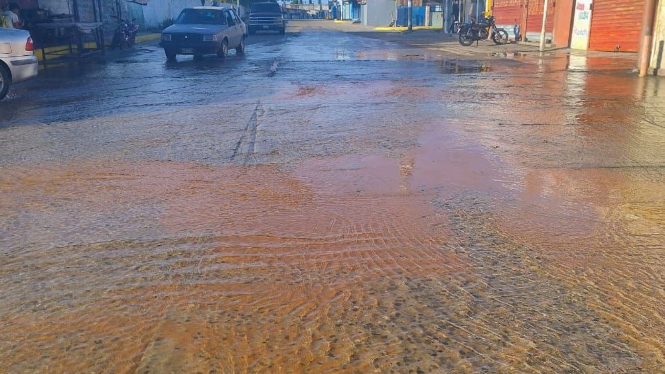 4976694776610622209_121