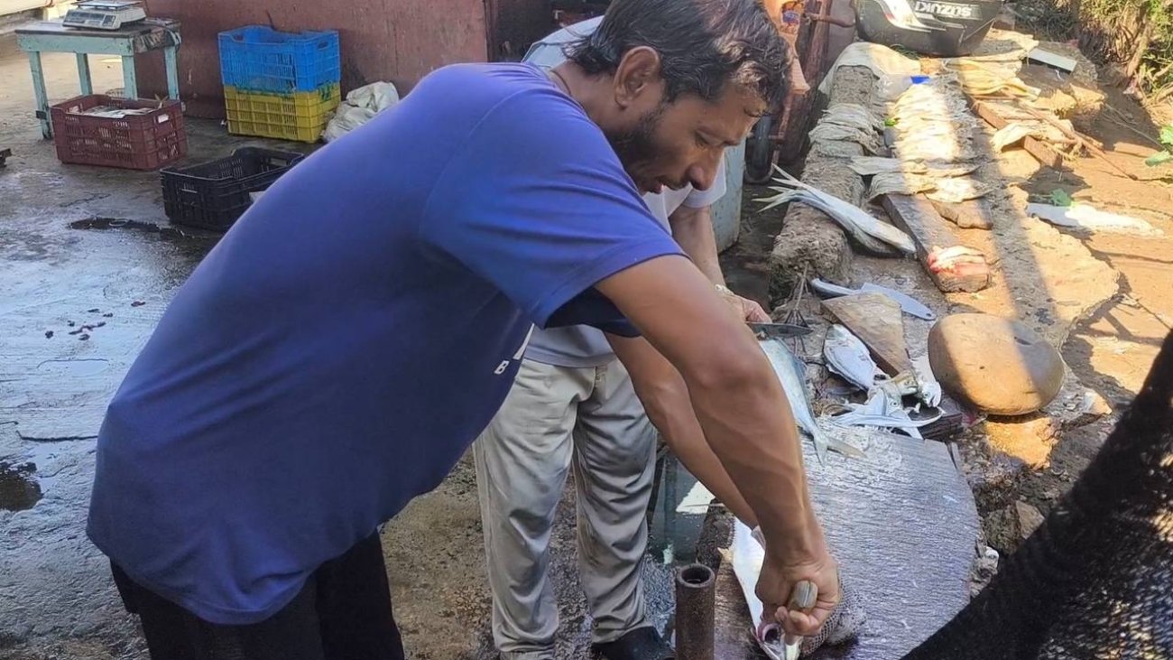 5023807638680046426_121